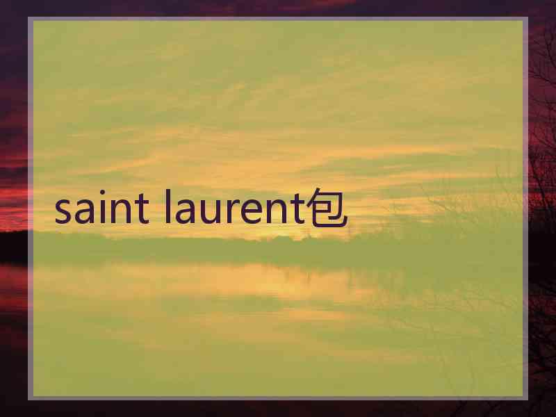 saint laurent包 saint laurent包