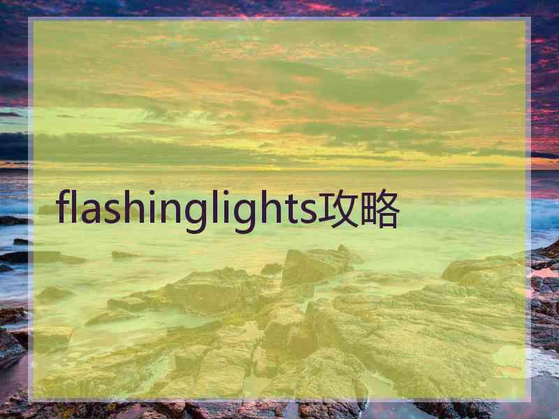flashinglights攻略