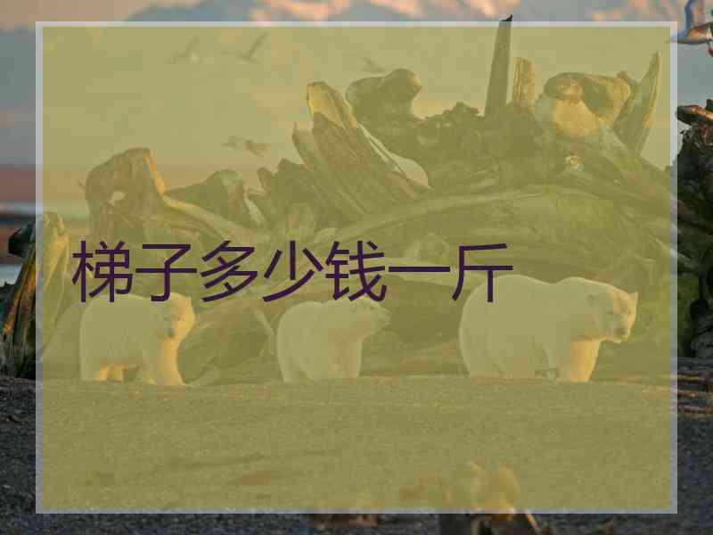 梯子多少钱一斤 梯子多少钱一斤