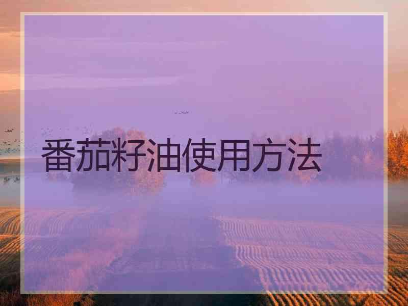 番茄籽油使用方法 番茄籽油使用方法