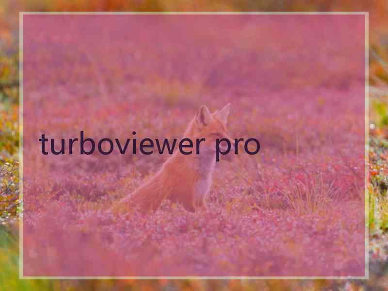 turboviewer pro