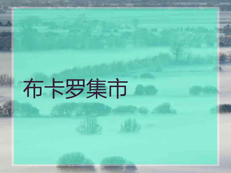 布卡罗集市 布卡罗集市