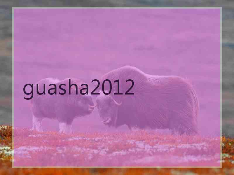 guasha2012