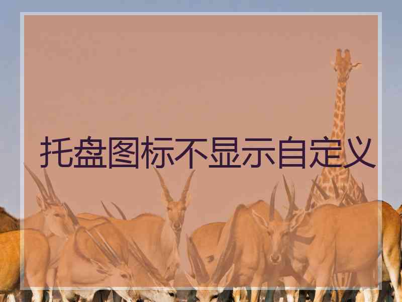 托盘图标不显示自定义 托盘图标不显示自定义