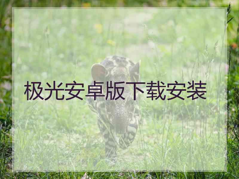 极光安卓版下载安装 极光安卓版下载安装