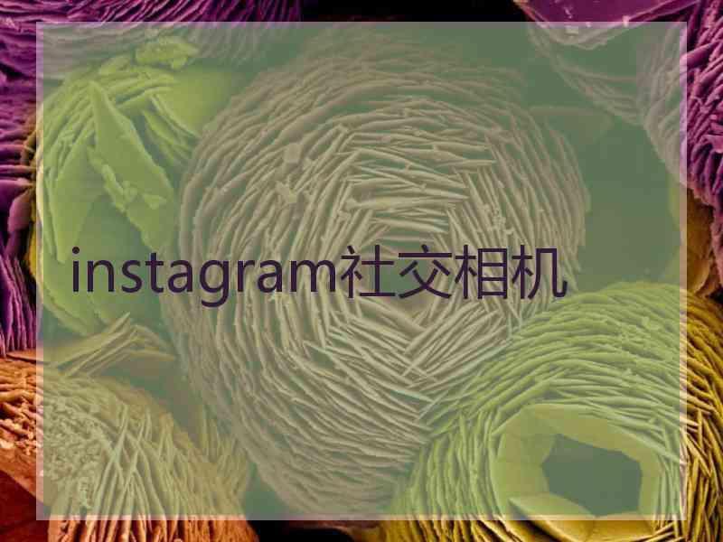 instagram社交相机