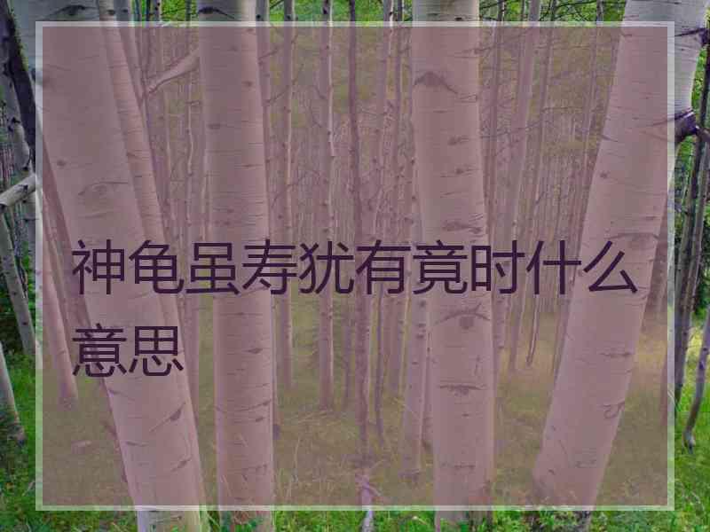 神龟虽寿犹有竟时什么意思 神龟虽寿犹有竟时什么意思