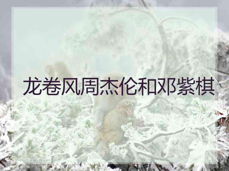 龙卷风周杰伦和邓紫棋 龙卷风周杰伦和邓紫棋