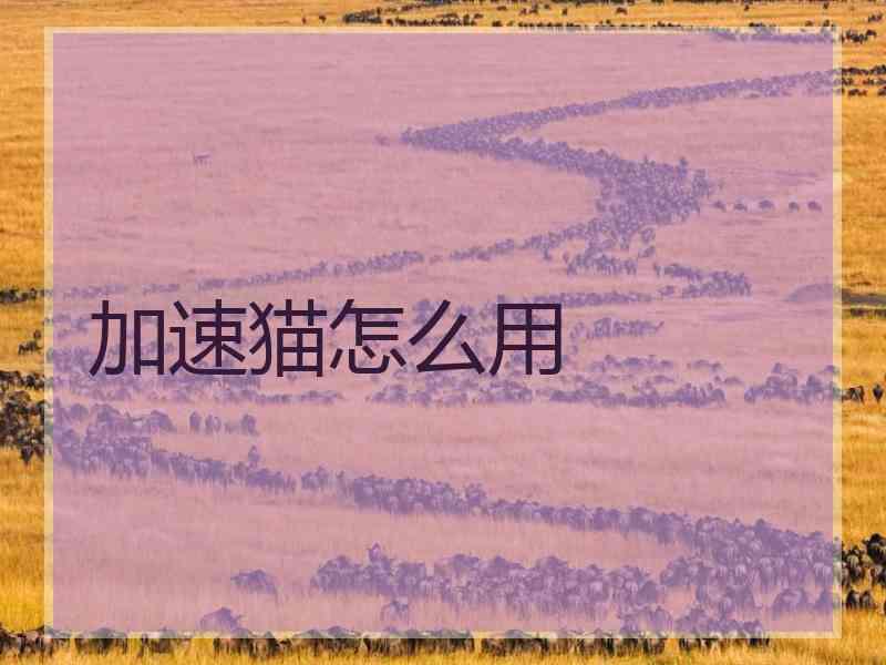 加速猫怎么用 加速猫怎么用