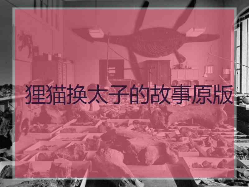 狸猫换太子的故事原版 狸猫换太子的故事原版