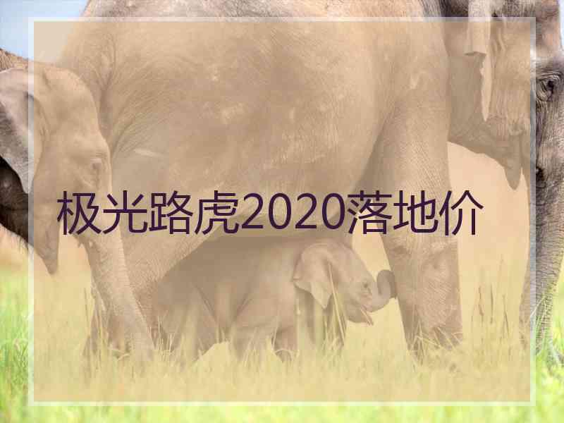 极光路虎2020落地价 极光路虎2020落地价