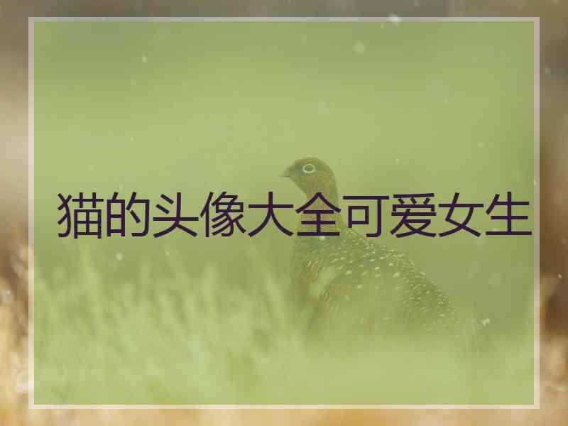 猫的头像大全可爱女生 猫的头像大全可爱女生