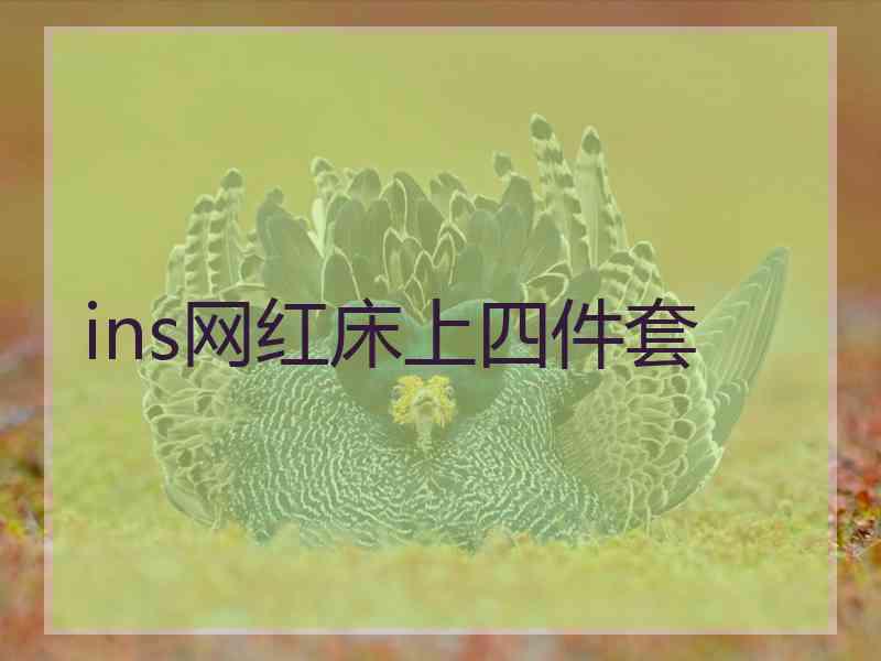 ins网红床上四件套 ins网红床上四件套