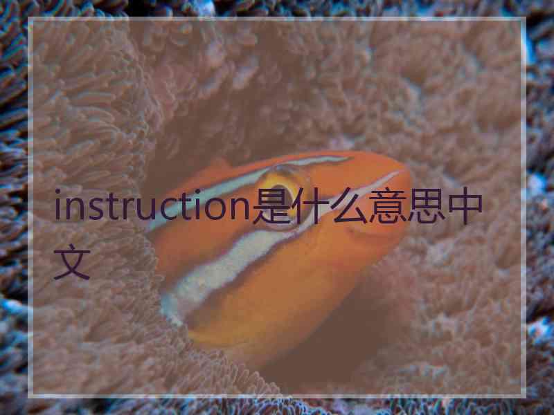 instruction是什么意思中文 instruction是什么意思中文