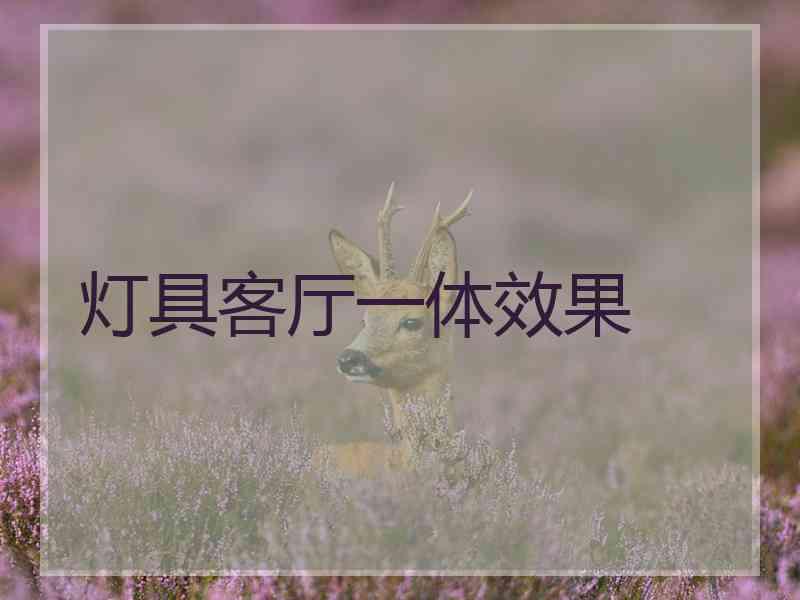 灯具客厅一体效果 灯具客厅一体效果