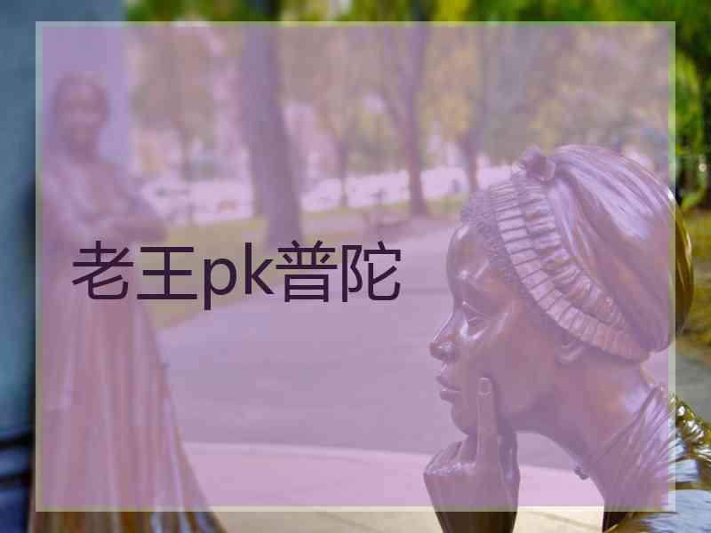 老王pk普陀 老王pk普陀