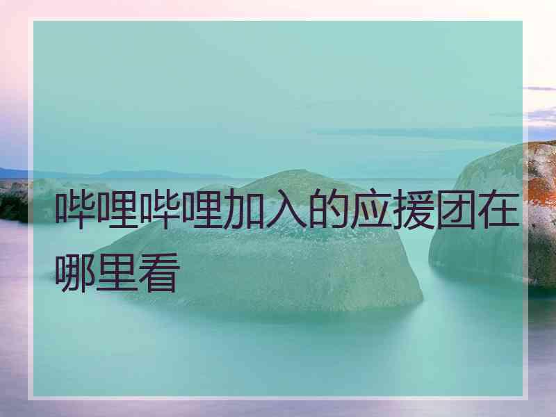 哔哩哔哩加入的应援团在哪里看 哔哩哔哩加入的应援团在哪里看