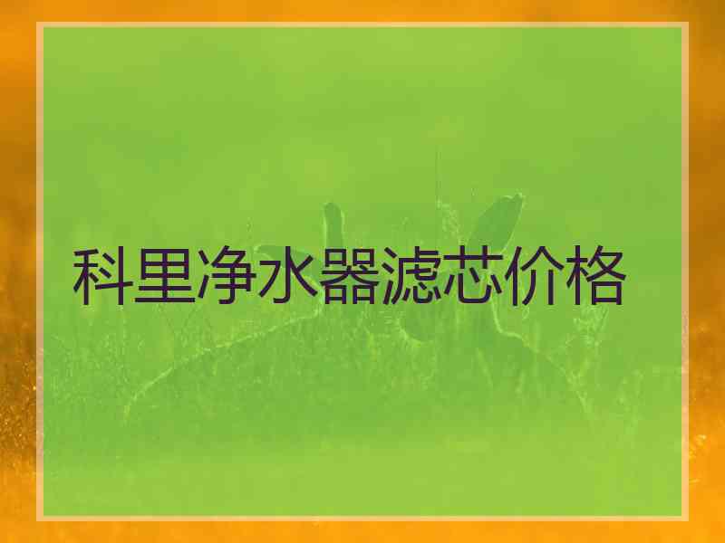 科里净水器滤芯价格 科里净水器滤芯价格