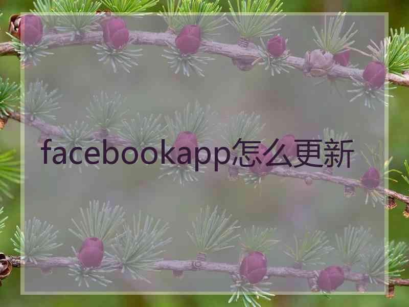 facebookapp怎么更新