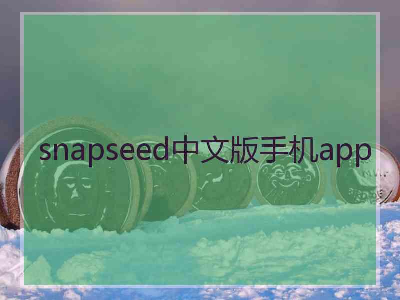 snapseed中文版手机app