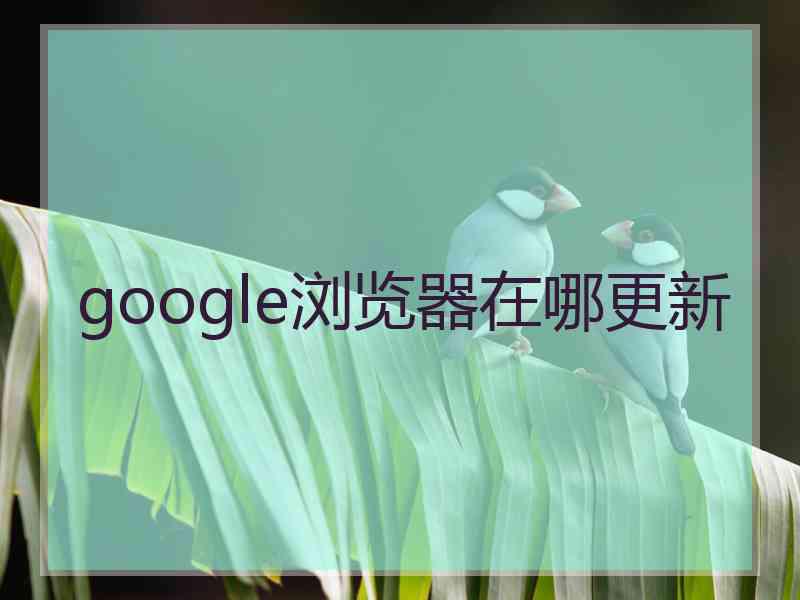 google浏览器在哪更新 google浏览器在哪更新