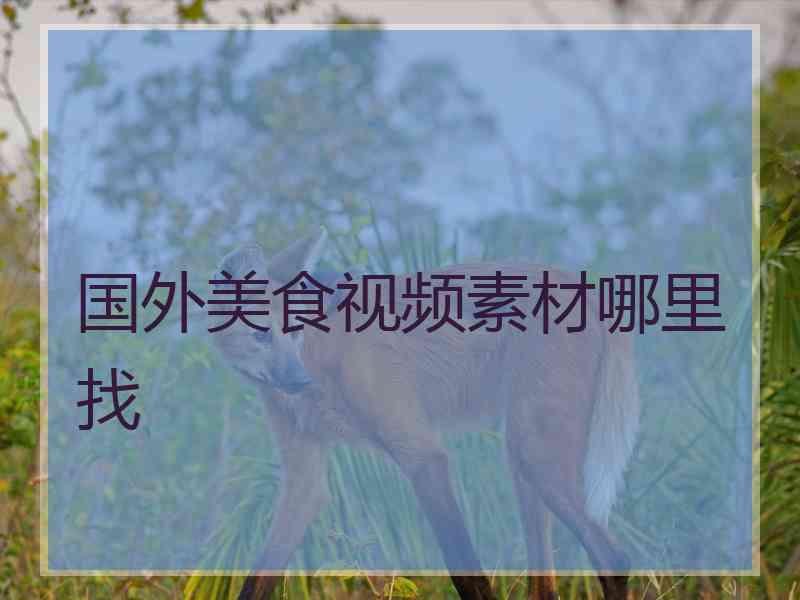 国外美食视频素材哪里找 国外美食视频素材哪里找