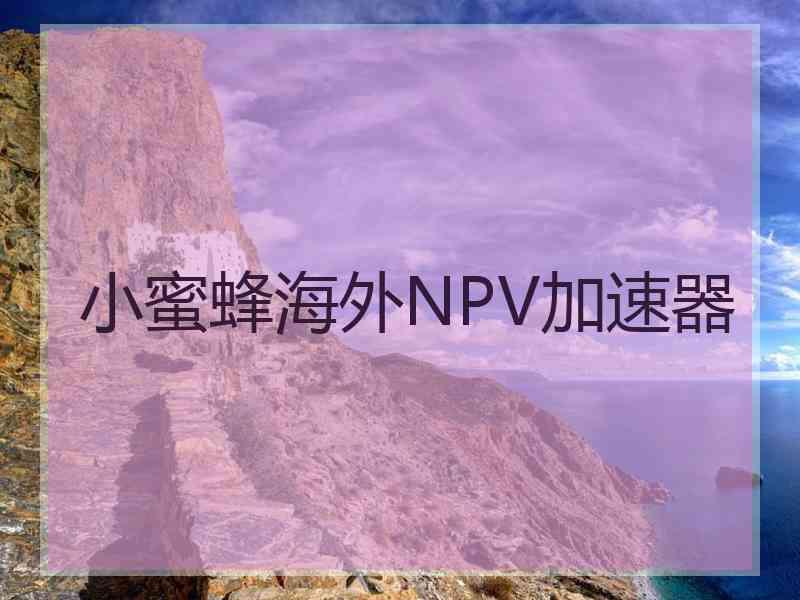 小蜜蜂海外NPV加速器 小蜜蜂海外NPV加速器