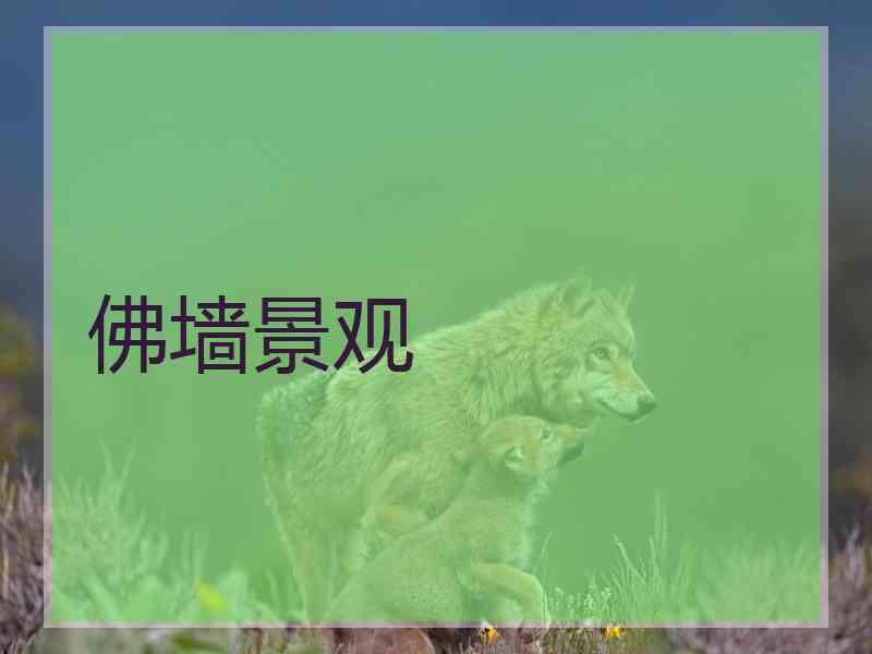 佛墙景观 佛墙景观
