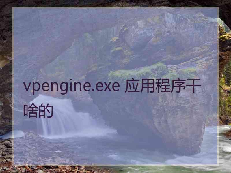 vpengine.exe 应用程序干啥的