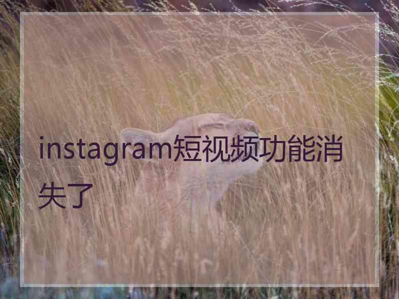 instagram短视频功能消失了 instagram短视频功能消失了