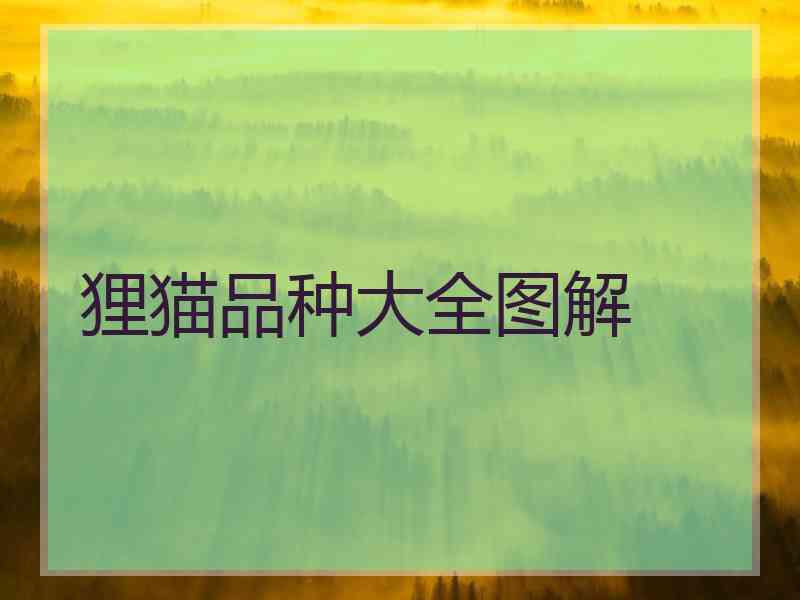 狸猫品种大全图解 狸猫品种大全图解