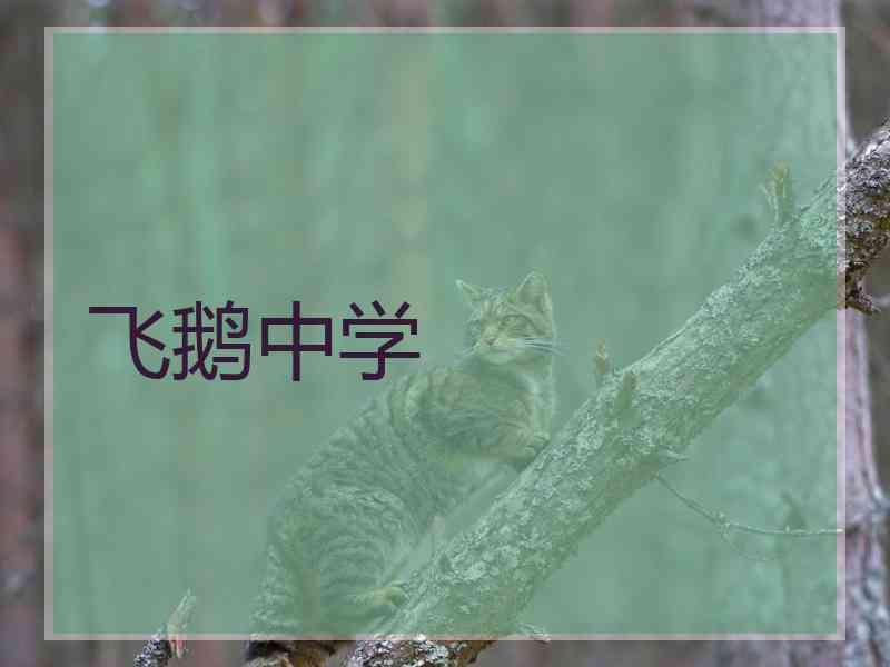 飞鹅中学 飞鹅中学