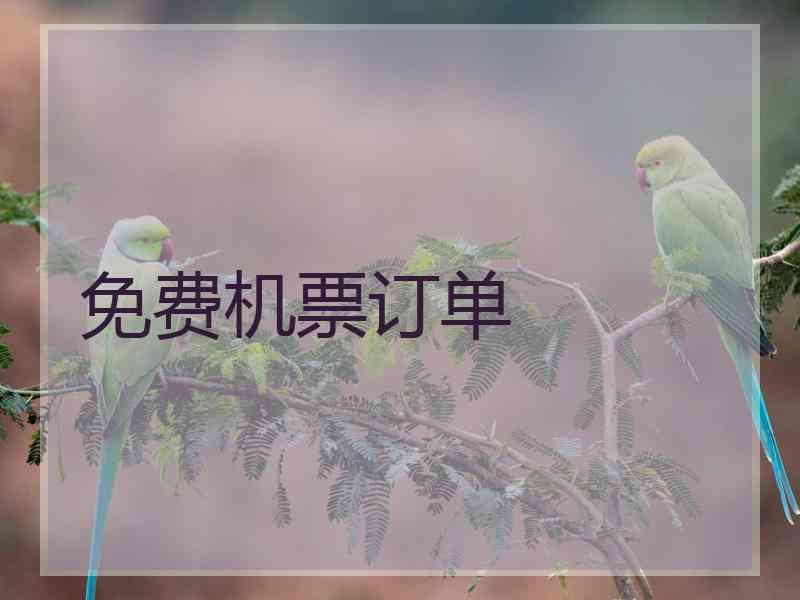 免费机票订单 免费机票订单