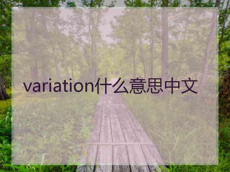 variation什么意思中文