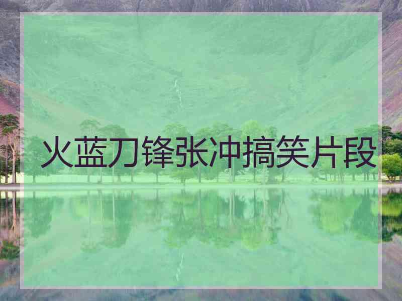 火蓝刀锋张冲搞笑片段 火蓝刀锋张冲搞笑片段