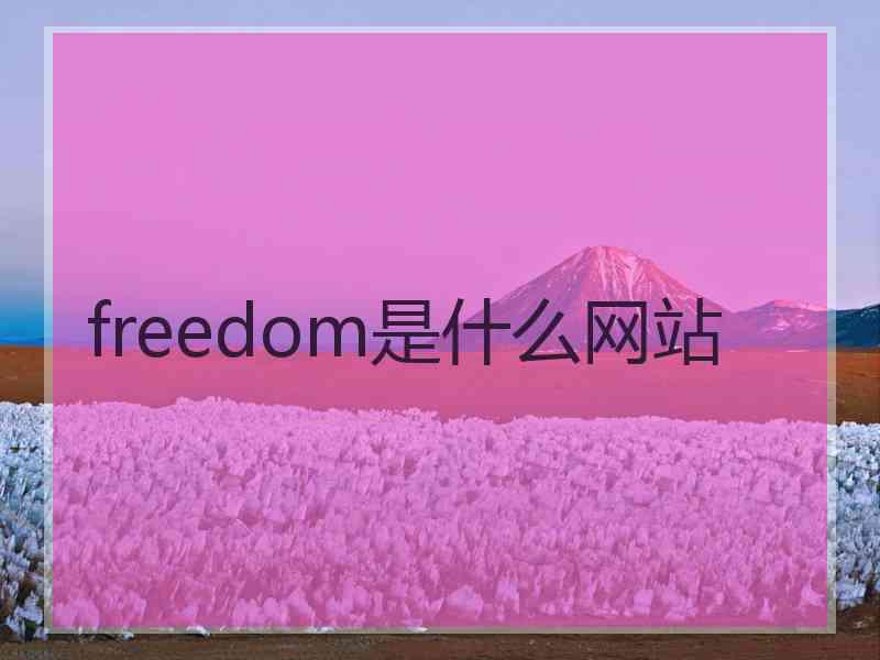 freedom是什么网站