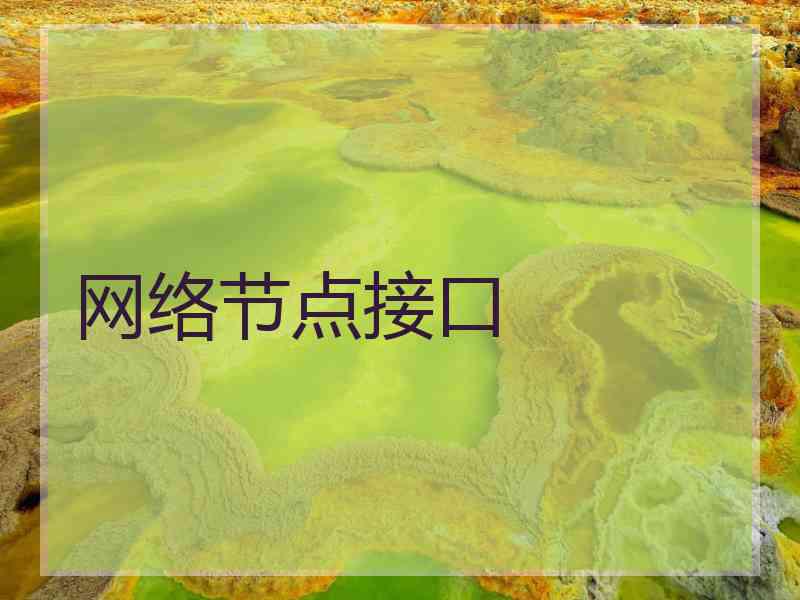 网络节点接口 网络节点接口