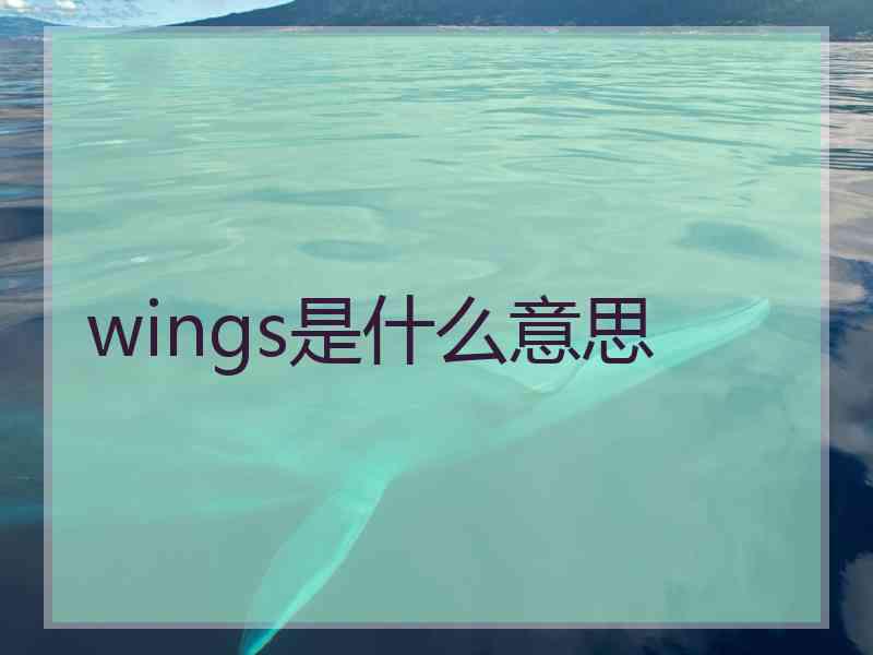 wings是什么意思 wings是什么意思