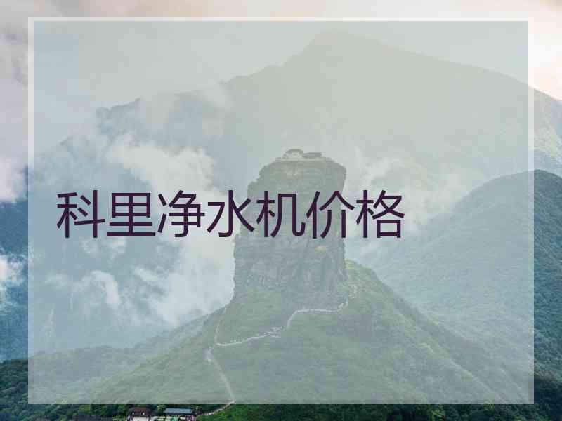 科里净水机价格 科里净水机价格