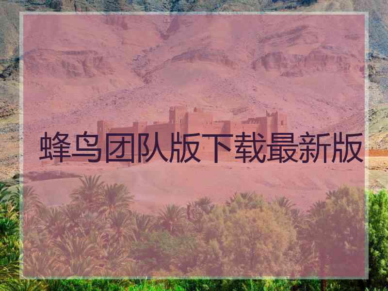 蜂鸟团队版下载最新版 蜂鸟团队版下载最新版