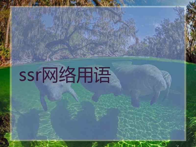 ssr网络用语 ssr网络用语