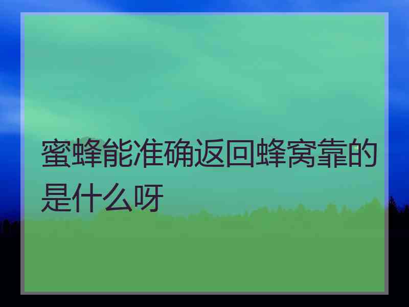 蜜蜂能准确返回蜂窝靠的是什么呀 蜜蜂能准确返回蜂窝靠的是什么呀