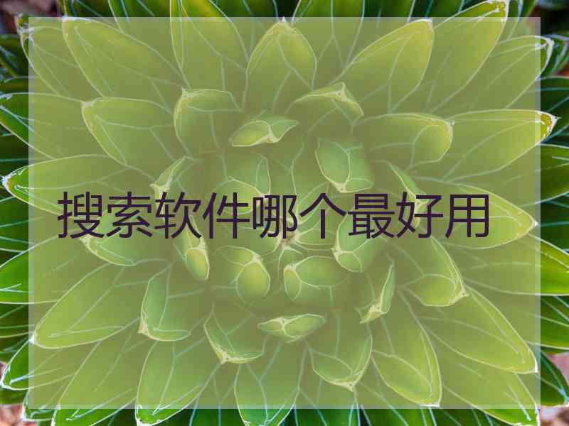 搜索软件哪个最好用 搜索软件哪个最好用