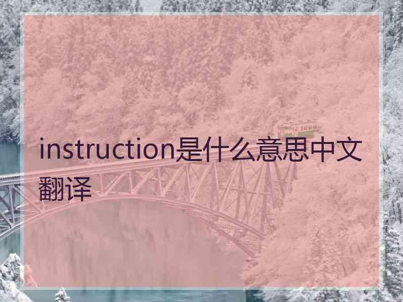instruction是什么意思中文翻译 instruction是什么意思中文翻译
