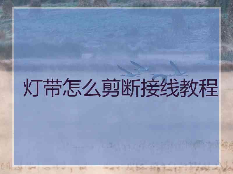 灯带怎么剪断接线教程 灯带怎么剪断接线教程