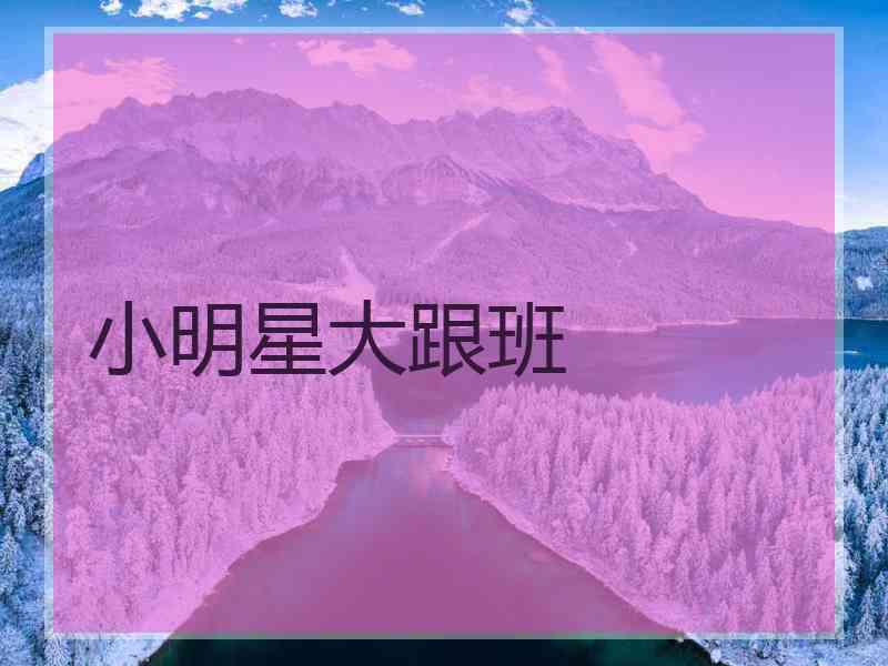 小明星大跟班 小明星大跟班