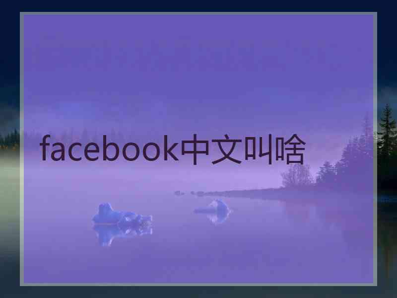 facebook中文叫啥 facebook中文叫啥