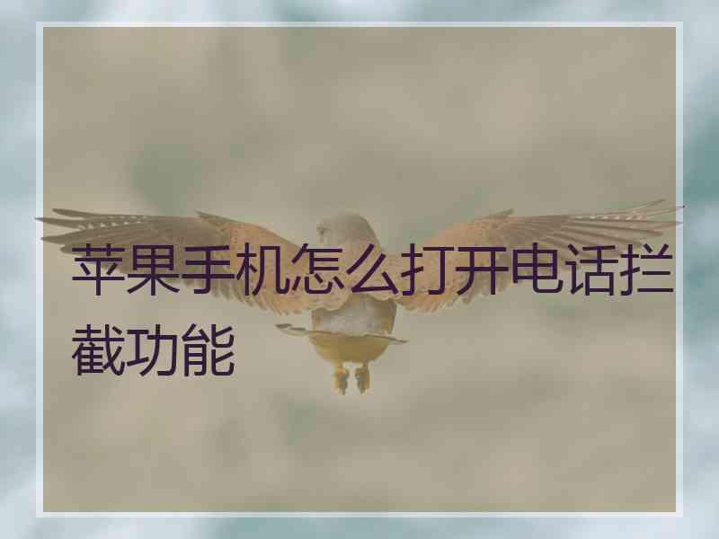 苹果手机怎么打开电话拦截功能 苹果手机怎么打开电话拦截功能