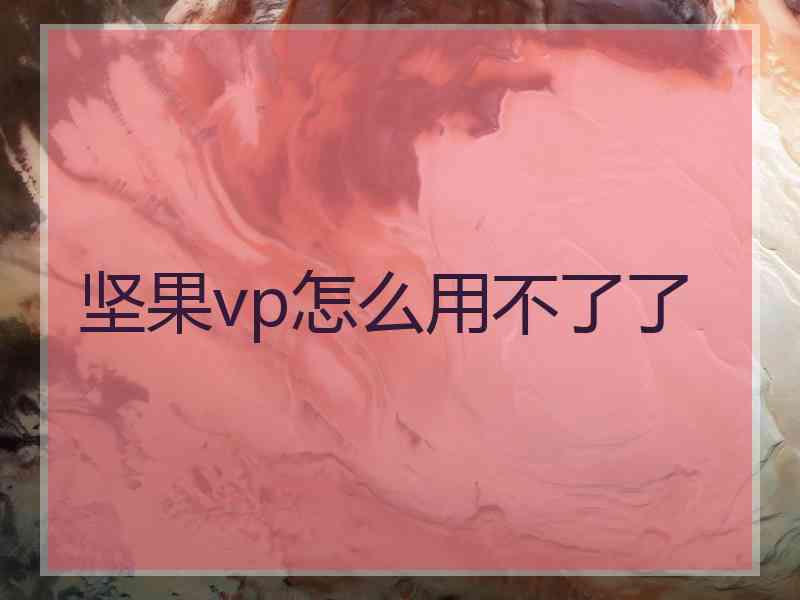 坚果vp怎么用不了了 坚果vp怎么用不了了