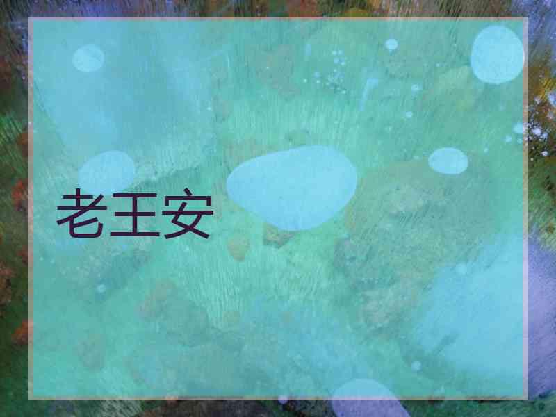 老王安 老王安